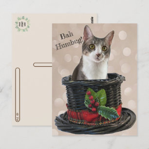 Postcrossing - Bah Humbag Tito The Cat Postcard