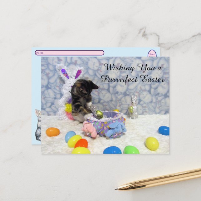 Postcrossing Bandit's Easter - Cat / Kitten Easter Holiday Postcard (Front/Back In Situ)