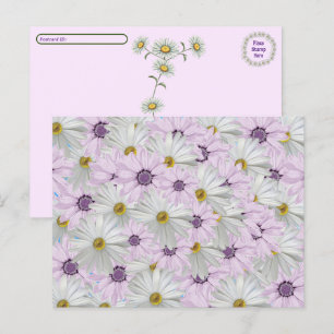 Postcrossing Beautiful Pink & White Daisy Floral Postcard