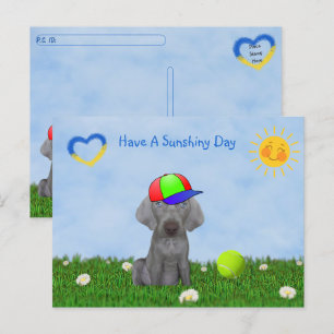 Postcrossing - Brooklyn the Weimaraner's Fun Day Postcard