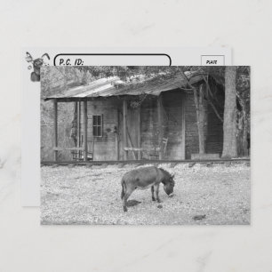 Postcrossing Cabin and Donkey in B&W Postcard