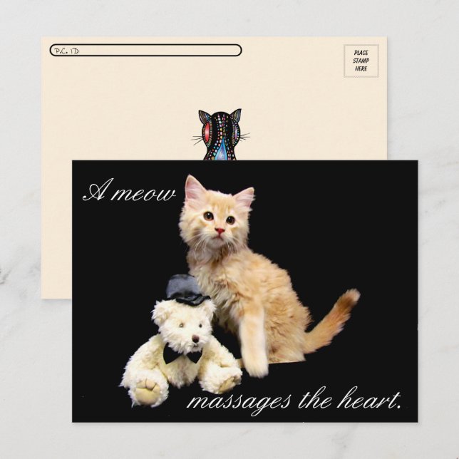 Postcrossing - Cat Pic - Sundrop and Teddy Bear Postcard (Front/Back)