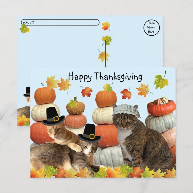 Postcrossing - Cats, Pumpkins, and Fall Leaves  Postcard (Front/Back)