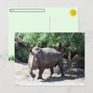 Postcrossing Charging Rhinoceros Postcard