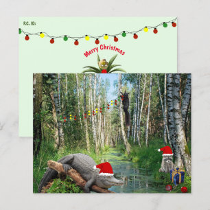 Postcrossing Christmas in the Swamp Postcard