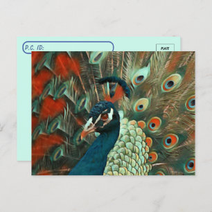 Postcrossing Colourful Peacock Postcard