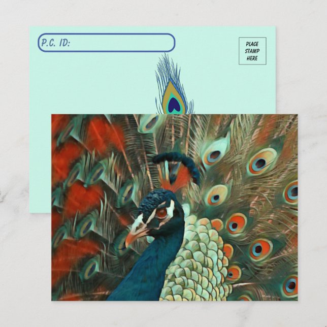 Postcrossing Colourful Peacock Postcard (Front/Back)