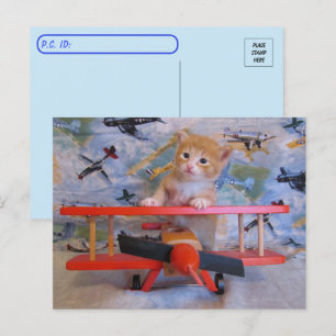 Postcrossing = Dolce the Cat's Airplane Postcard