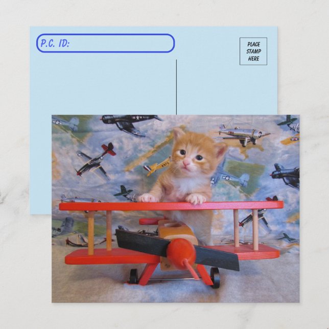 Postcrossing = Dolce the Cat's Airplane Postcard (Front/Back)
