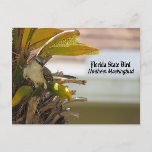 Postcrossing - Florida State Bird Postcard