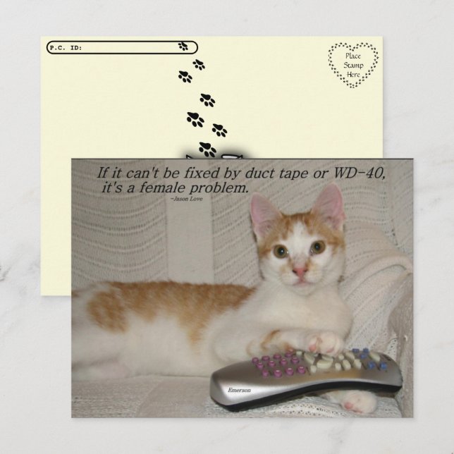 Postcrossing - Funny Quote Cat Postcard  (Front/Back)