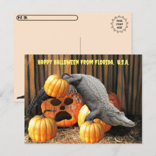Postcrossing - Halloween Pumpkins and Gator  Postcard
