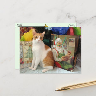 Postcrossing - Kagan the Cat - Christmas Holiday Postcard