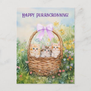 Postcrossing Kittens - Postcard