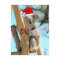 Postcrossing - Koala Christmas