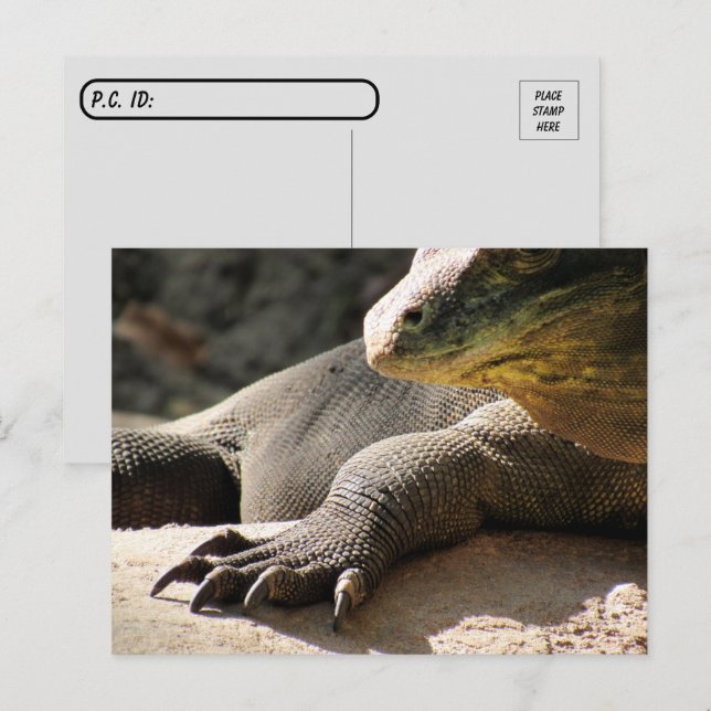 Postcrossing - Komodo Dragon Postcard (Front/Back)
