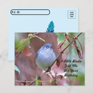 Postcrossing Little Birdie Birthday Postcard