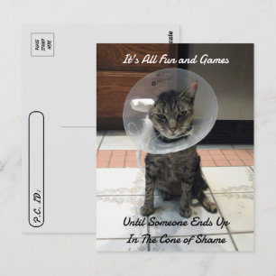 Postcrossing - Oliver The Cats Cone of Shame  Postcard