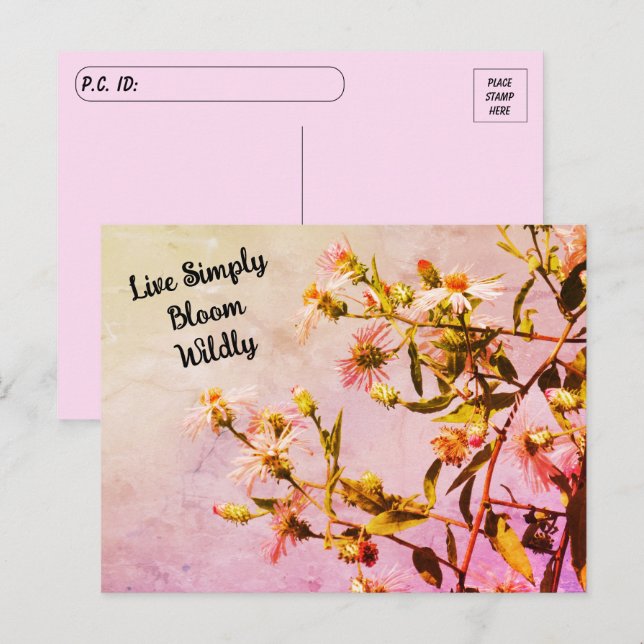 Postcrossing Pink Wildflower Quote Postcard (Front/Back)