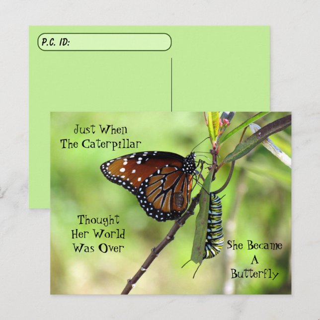 Postcrossing Queen Butterfly & Monarch w/ ID Box Postcard (Front/Back)