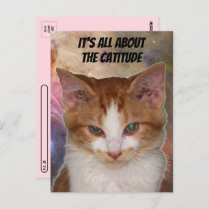 Postcrossing Reba's Catitude Postcard