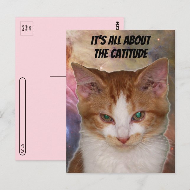 Postcrossing Reba's Catitude Postcard (Front/Back)