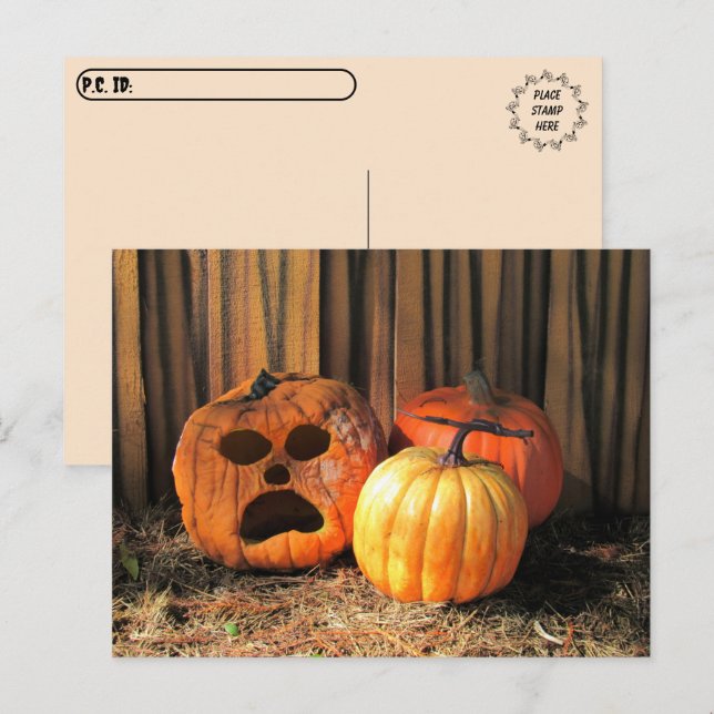 Postcrossing - Rotten Pumpkins Halloween Postcard (Front/Back)