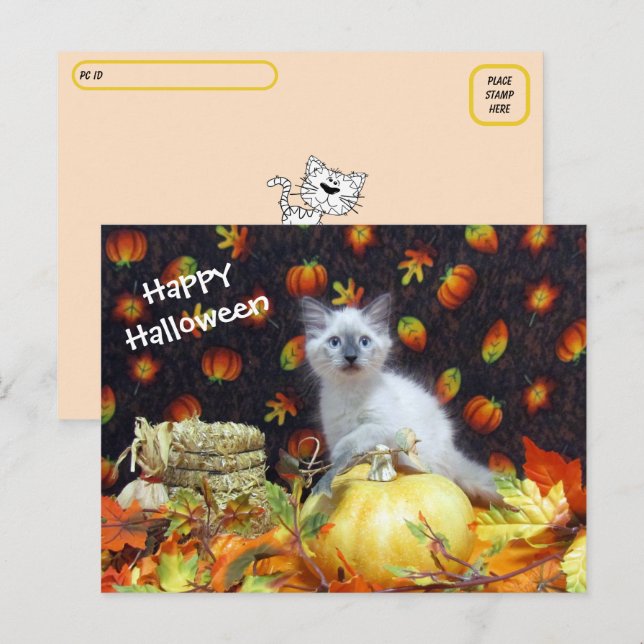 Postcrossing - Savannah's Halloween Postcard - Cat (Front/Back)