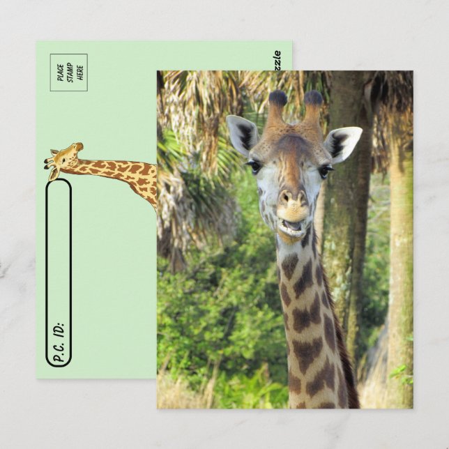 Postcrossing - Silly Giraffe Postcard (Front/Back)