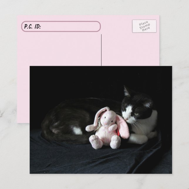 Postcrossing Some Bunny Loves Me - Cat Postcard (Front/Back)