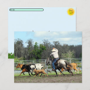 Postcrossing - The Roundup - Cowboy Postcard