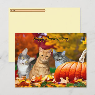 Postcrossing Tito, Taz & Annie's 2025 Thanksgiving Holiday Postcard