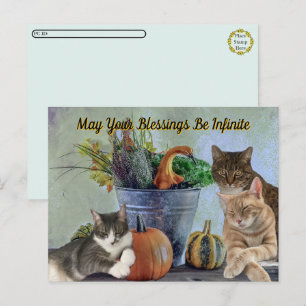 Postcrossing Tito Taz & Annie's 2025 Thanksgiving  Holiday Postcard