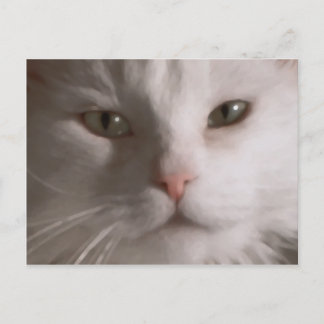 Postcrossing - White Cat postcard