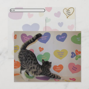 Postcrossing - Wyatt The Cat's Conversation Hearts Postcard