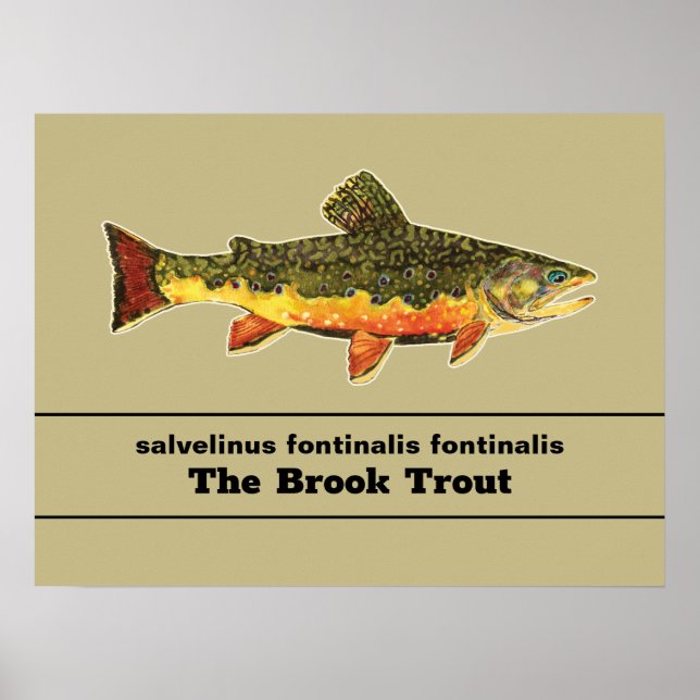 . POSTER (Front)