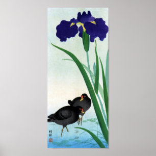 Poster ク ナ ア ヤ approché, 邨 Moorhens et Iris, Ohara Koson