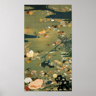 Poster 動 植 綵 絵(24)貝 図,  de 甲