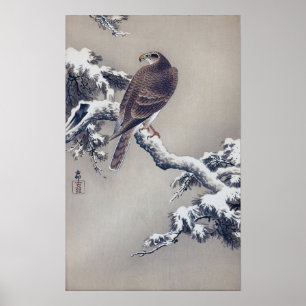 Poster 松 に 鷹, 古 邨 Hawk sur Pine tree, Ohara Koson, Coupe 
