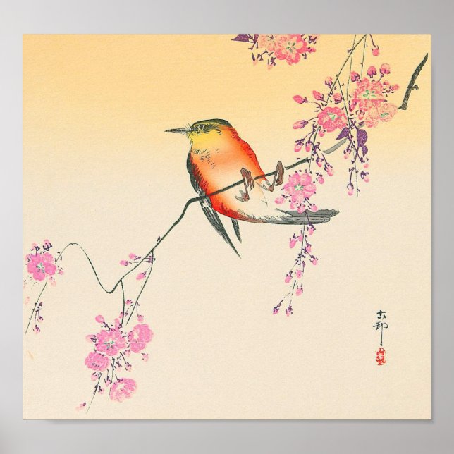 Poster 桜 に 鳥, 小 原 邨 fleurs d'oiseaux et de cerisiers, Oha (Devant)