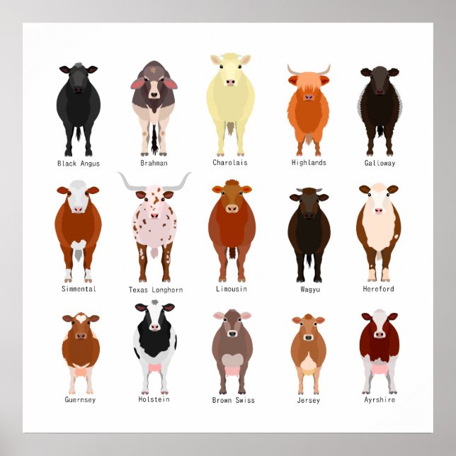 POSTER 牛 の 種 類 一 覧 (Devant)