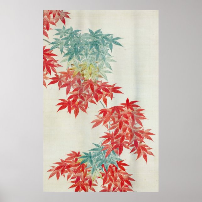 Poster 紅 葉, 其 一 érable japonais, Kiitsu (Devant)
