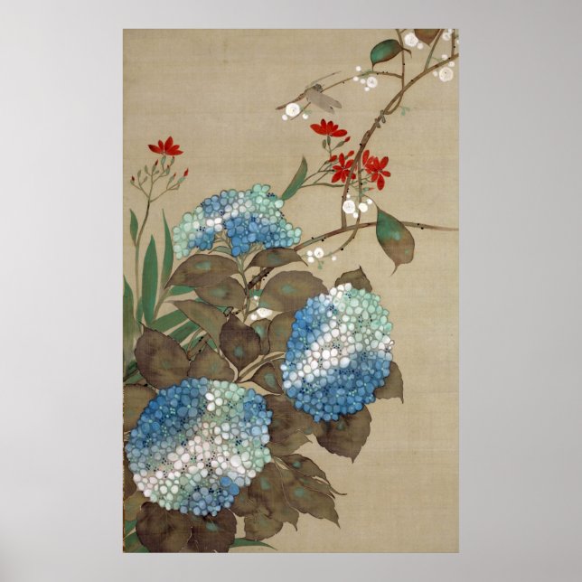 Poster 紫 陽 花 と ン Hydrangea et Dragonfly, Hōitsu (Devant)