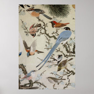Poster 群 鳥 図, 中 住 雲, Oiseaux (détail), Nakazumi Doun