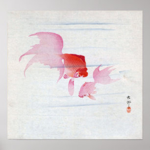 Poster 金 魚, 古 邨 Paire de Poisson d'or, Koson, Ukiyo-e, Co