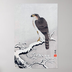 Poster 雪 に 鷹, 古 邨 Hawk sur la branche couverte de neige, 