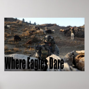 Poster 101st Aéroporté