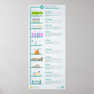 Poster 10 noms collectifs les plus inhabituels révélés et