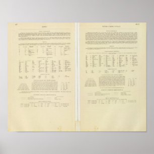Poster 11517 Légende Égypte, Érythrée, Éthiopie, Somalie