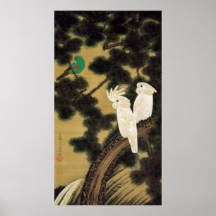 Poster 12. 老松鸚鵡図, 若冲 Pine-tree & Parrot, Jakuchū